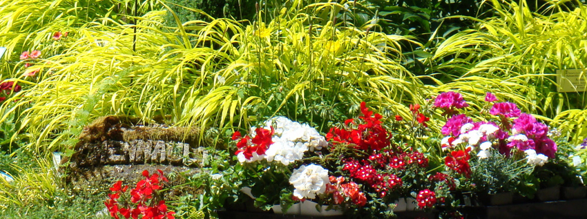 Colorful flowers at The Plant Station